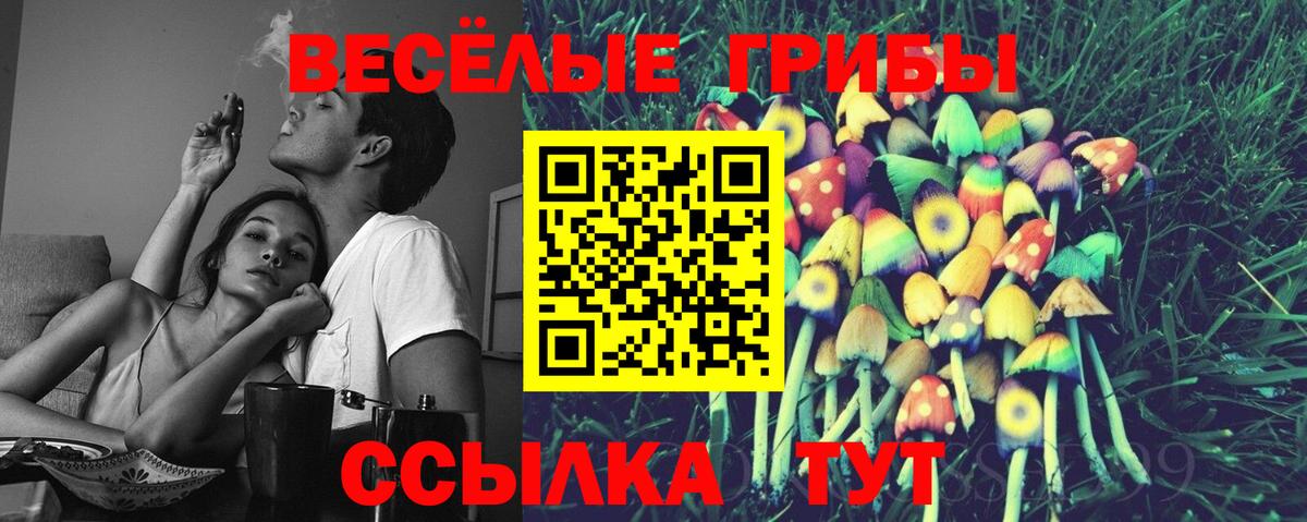 Псилоцибиновые грибы MAGIC MUSHROOMS  Вход с VPN  Ивантеевка  Галлюциногенные грибы ЛСД 